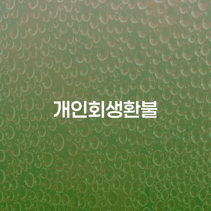 개인회생금지명령 대출 연체 개인회생 해결 할 수 있을까?