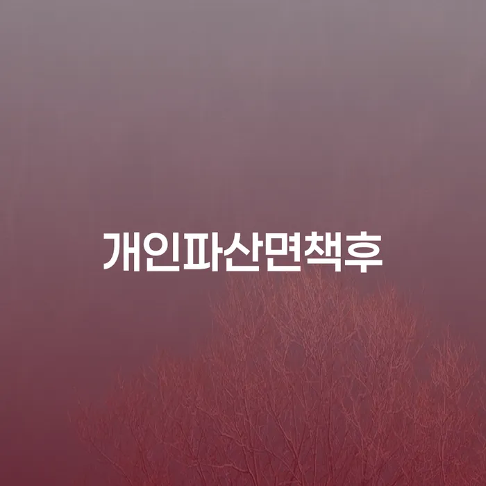 개인회생요건 신용회복 위험감소