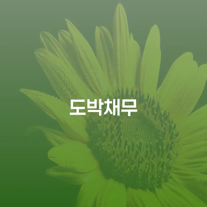 파산신청금액 개인회생 처리방법 지금알아보기