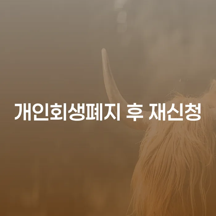 개인신용회복지원제도 개인회생으로 해결방법 걱정이라면