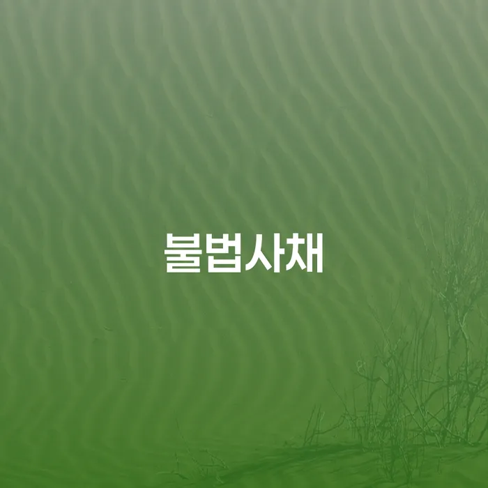 경산시 간이과세자대출 연체 시 빚청산 법무사추천