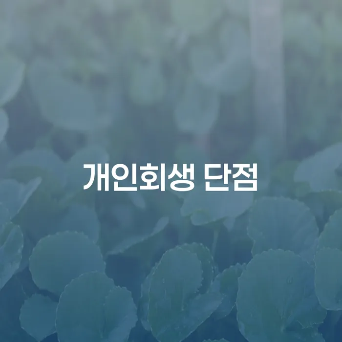 성북구 대출 연체 개인회생 살고있는