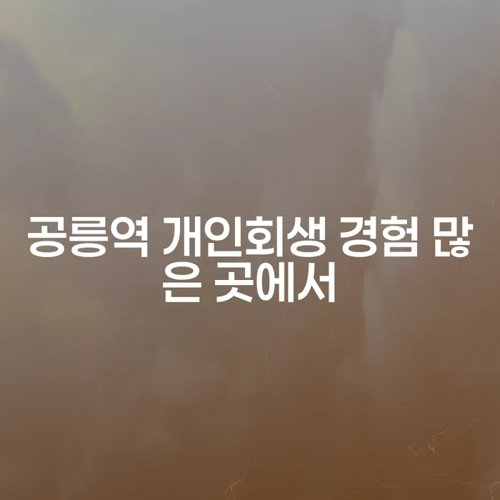 공릉역 개인회생 경험 많은 곳에서