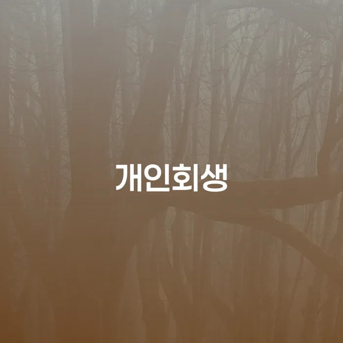 달성군 개인회생을 통한 경제적 회생 전략